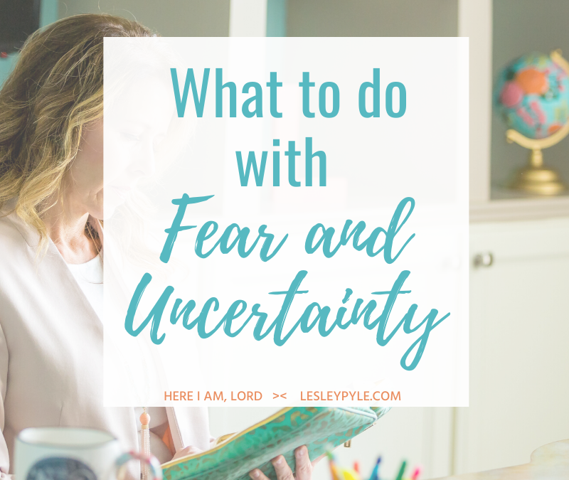 What to do with Fear and Uncertainty