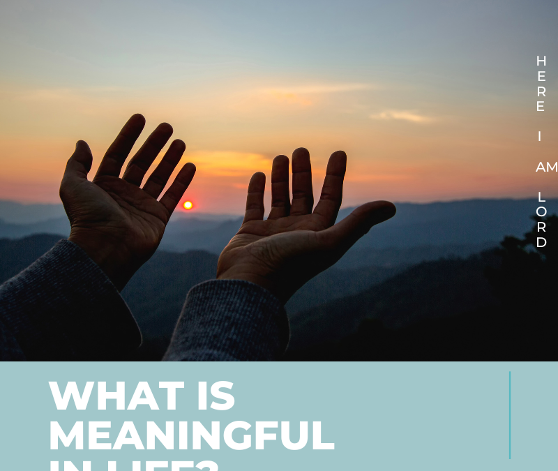 What is Meaningful in Life?