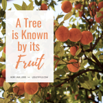 A Tree is Known by its Fruit