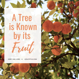 A Tree is Known by its Fruit | Lesley Pyle